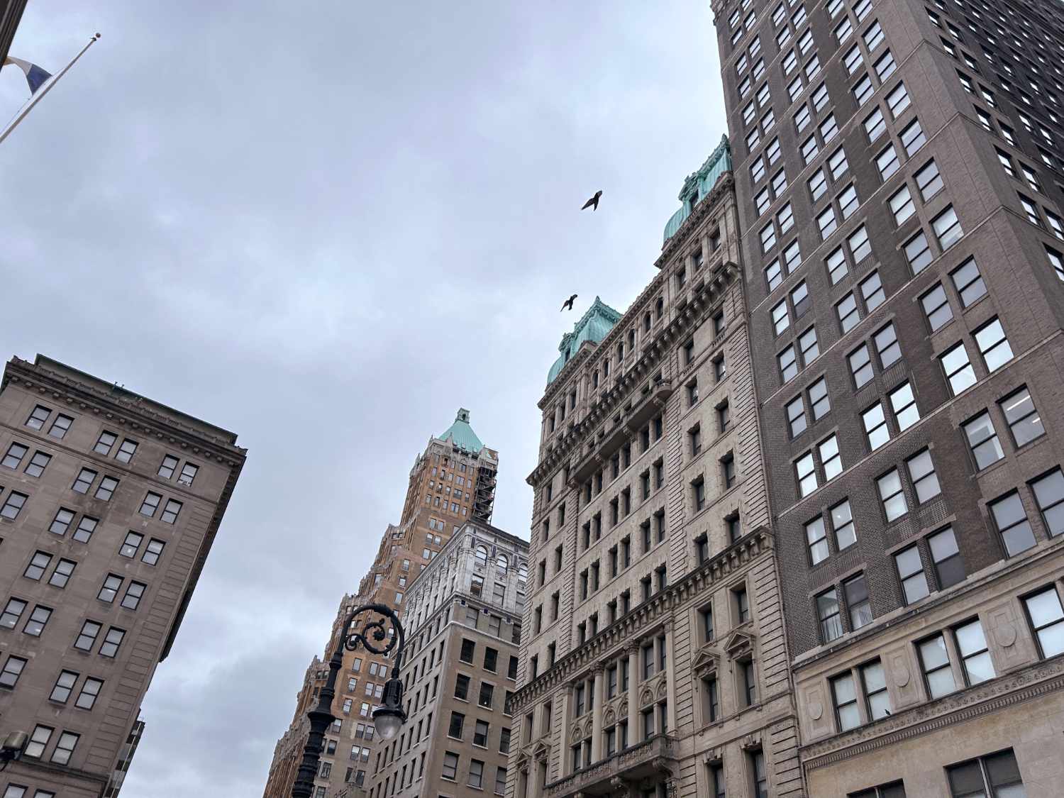 Landscape of downtown Brooklyn buildings near courthouse